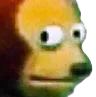MonkeyStare