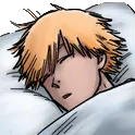 CSMdenjisleep
