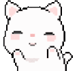 CatDance