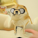 :jake: Discord Emote