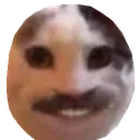meowo