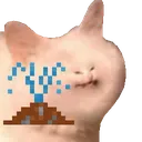 geyser_good_cat