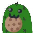 cooctus cooctus