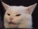 angerycat