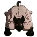 HPUP
