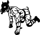 HPUP2
