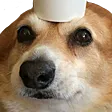 coffeeDog