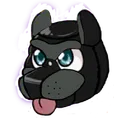 _PUP_GREY