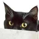 NebiHide