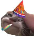 FeelsBirthdayCat FeelsBirthdayCat