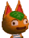 tangyshockstare tangyshockstare