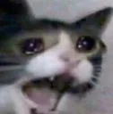 hecc