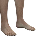 feet