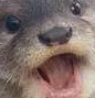 otterwow