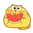 75fd27c0353a89d172c0417f8d20be7c