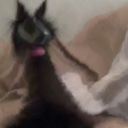 :dumy: Discord Emote