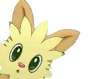 whatlillipup whatlillipup