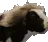 prettycow