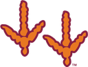hokietracks Discord emoji