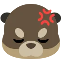 otter_annoyed