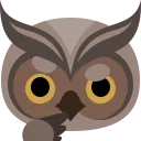 owl_think