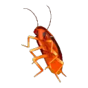 epicbugboy