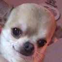 :bigbrain: Discord Emote