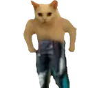 gatito gatito