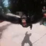 monky