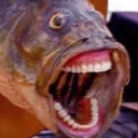 phish