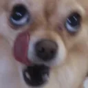 mariaYUM
