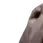 walter1 walter1