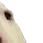 walter3 walter3