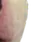 walter6 walter6