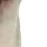 walter9 walter9