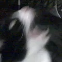 AAAAAGHHH