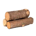 LOGGERS