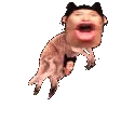 HOPPAROO