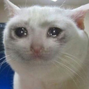 :sadcat: Discord Emote