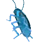 slowCockroach