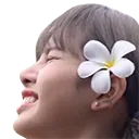 lisapain lisapain