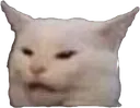 594219305600679936
