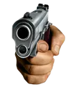 Gun