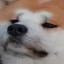 MOOD
