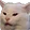 nyeh nyeh