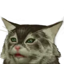 blamechat