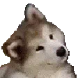 :meeeh: meeeh