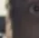 KIN2_4 KIN2_4