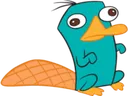 perry