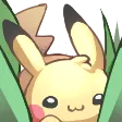 pikahide